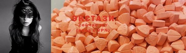 стаф Арсеньев