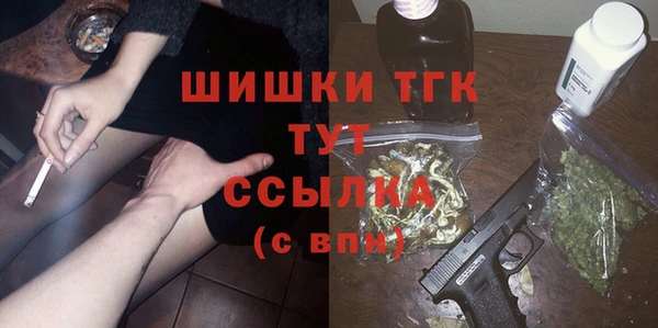 стаф Арсеньев